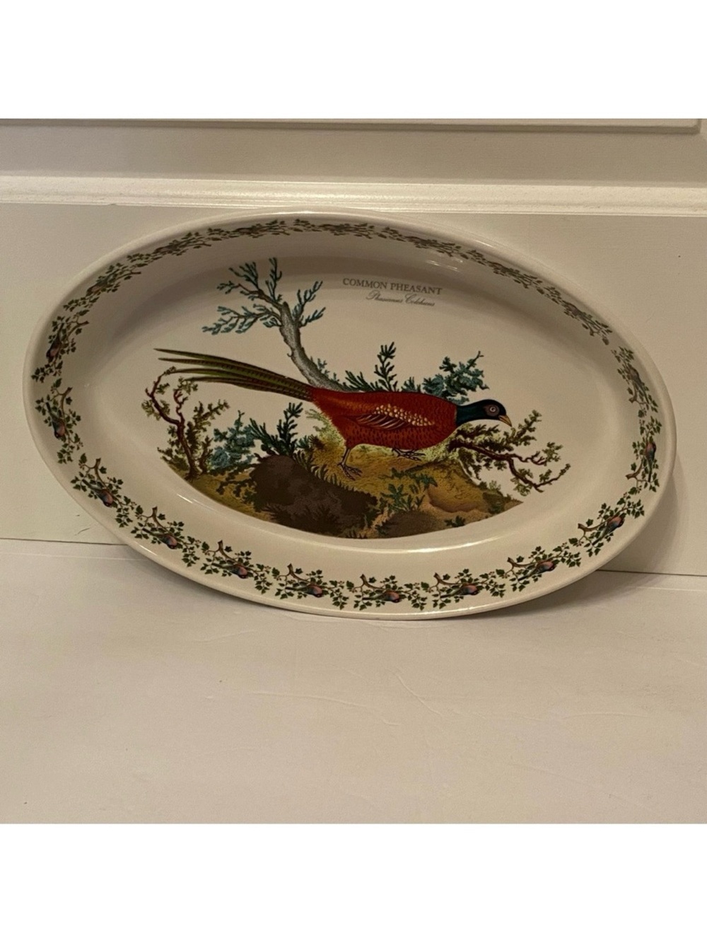 PORTMEIRION CASSEROLE SERVEWARE BAKE DINING COMMON PHEASANT WHITE BROWN GREEN